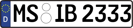 MS-IB2333