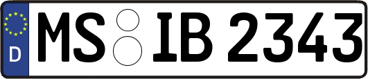 MS-IB2343