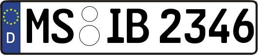 MS-IB2346