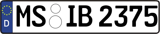 MS-IB2375