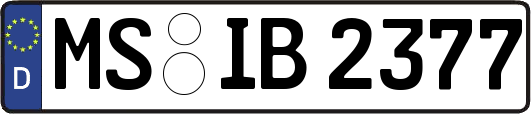 MS-IB2377