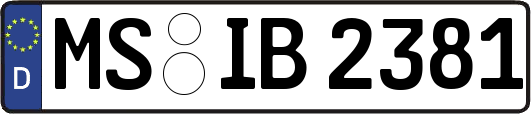 MS-IB2381