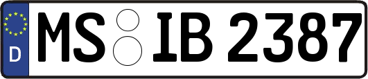 MS-IB2387