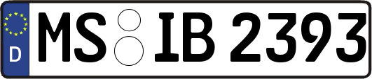MS-IB2393