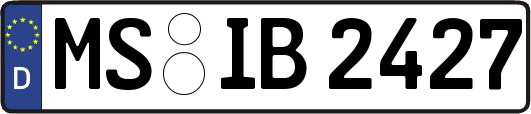 MS-IB2427