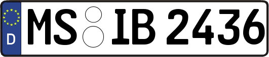 MS-IB2436