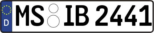 MS-IB2441