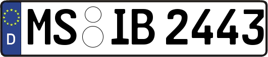 MS-IB2443