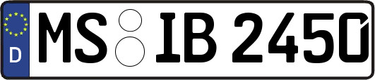 MS-IB2450