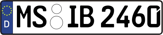 MS-IB2460