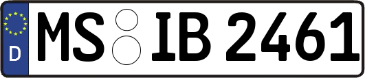 MS-IB2461