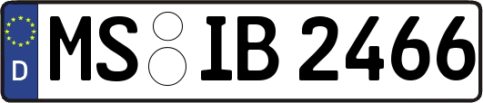 MS-IB2466