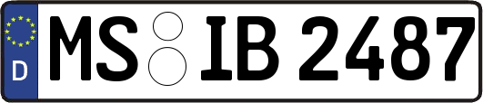 MS-IB2487