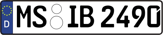 MS-IB2490