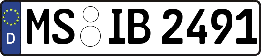 MS-IB2491