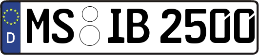 MS-IB2500