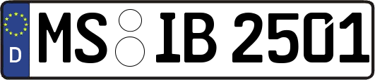 MS-IB2501