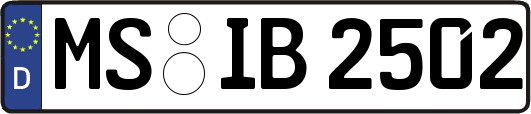 MS-IB2502