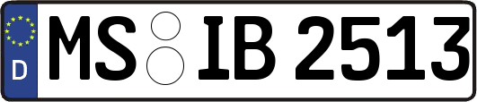 MS-IB2513