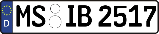 MS-IB2517