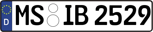 MS-IB2529