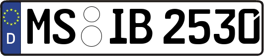 MS-IB2530