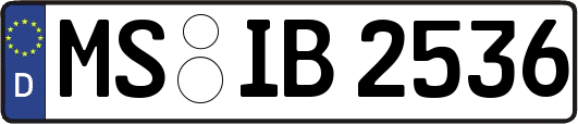 MS-IB2536