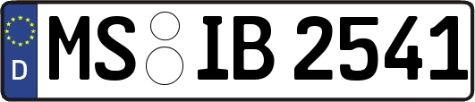 MS-IB2541