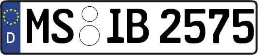 MS-IB2575