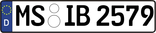 MS-IB2579