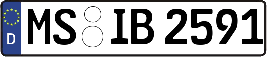 MS-IB2591