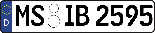 MS-IB2595
