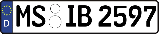 MS-IB2597