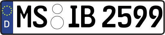 MS-IB2599