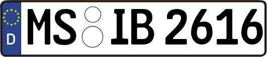 MS-IB2616