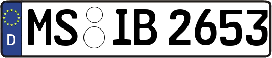MS-IB2653