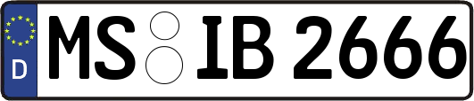 MS-IB2666