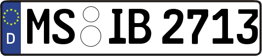 MS-IB2713