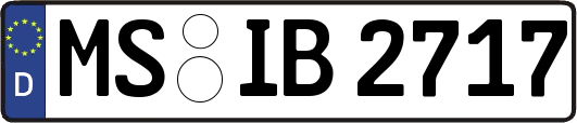MS-IB2717