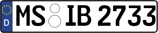 MS-IB2733