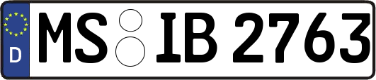 MS-IB2763