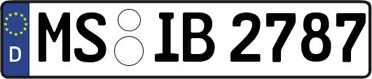 MS-IB2787