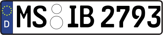 MS-IB2793