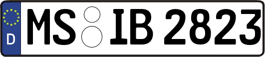 MS-IB2823