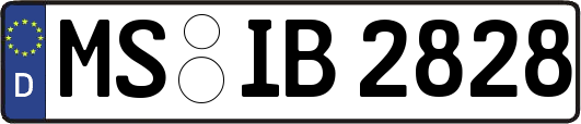 MS-IB2828