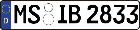 MS-IB2833