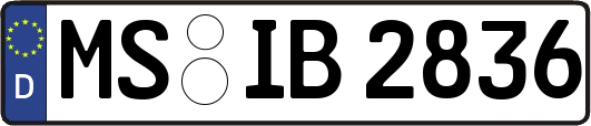 MS-IB2836