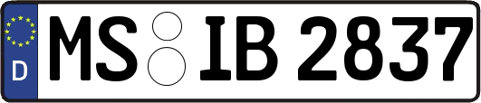 MS-IB2837