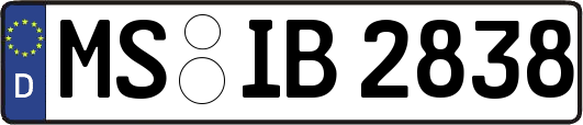 MS-IB2838