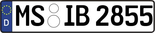 MS-IB2855